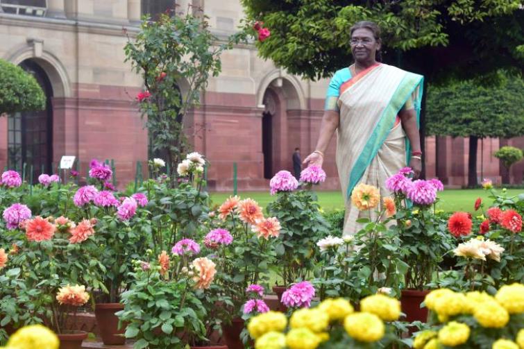 Amrit Udhyan blooms with myriad flowers, open to public viewing as President Murmu inaugurates